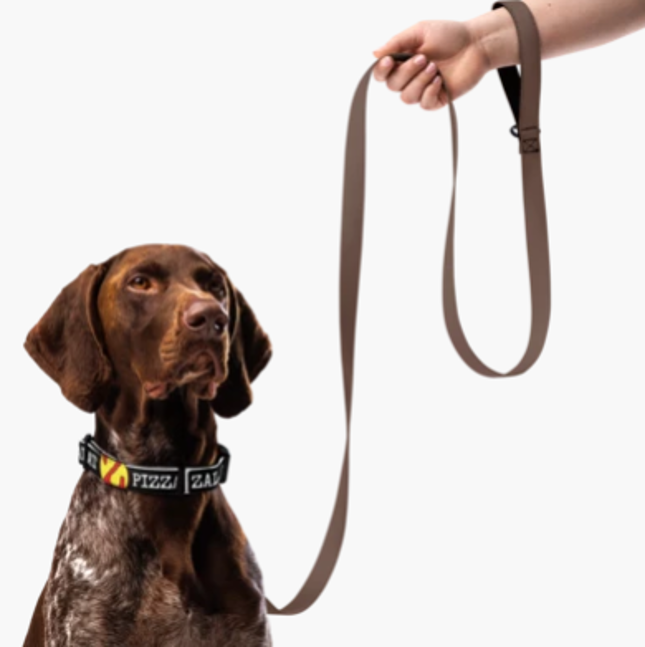 Zalat Black Dog Collar