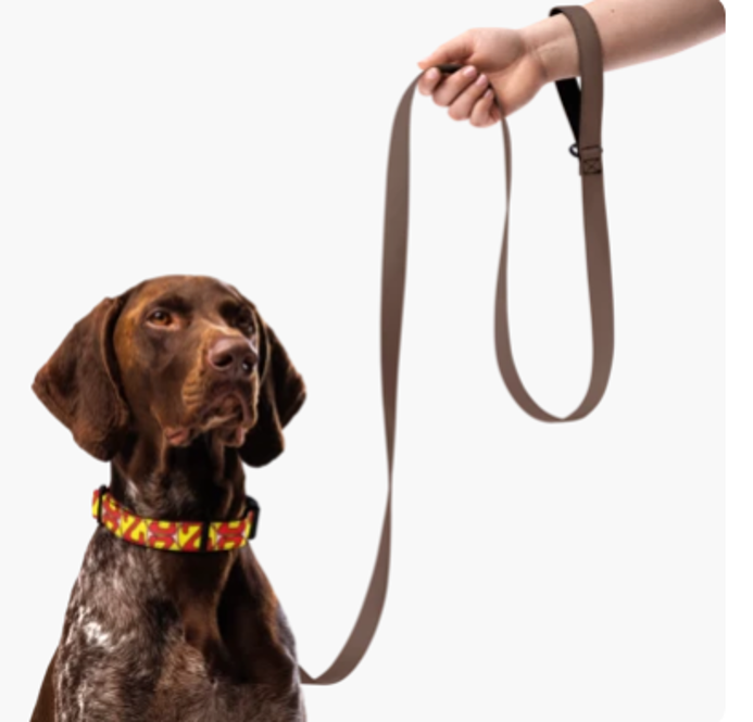 Zalat Red Dog Collar